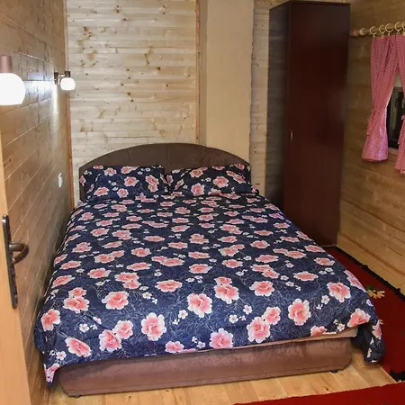 Brvnara Brkovic 2 *