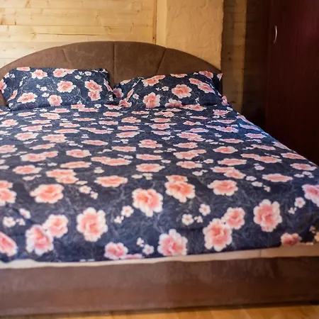 Brvnara Brkovic 2 * Cajetina (Zlatibor)