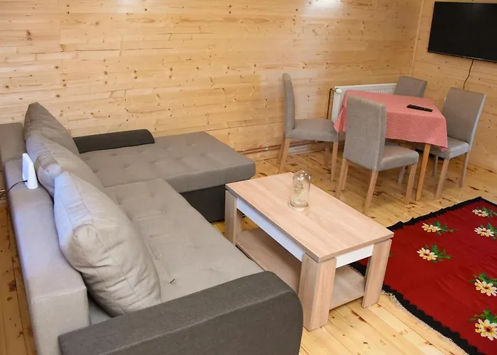 公寓 Brvnara Brkovic 2 *